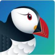 Puffin Browser Pro Mod Apk V9.7.2.51367 Download For Android
