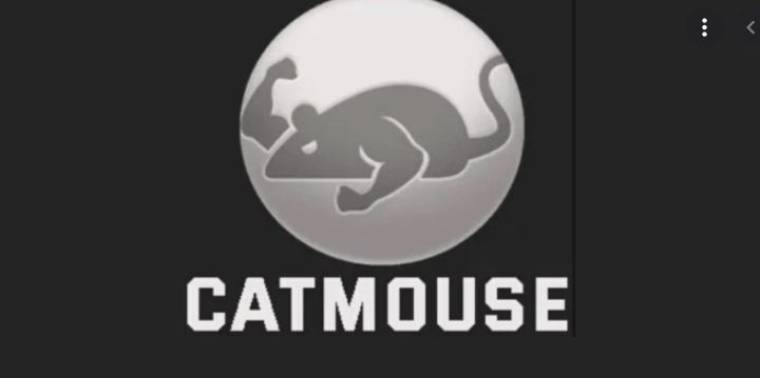 Cat Mouse Apk
