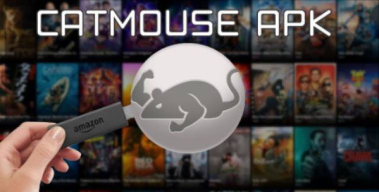 Cat Mouse Apk