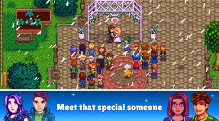 STARDEW VALLEY APK