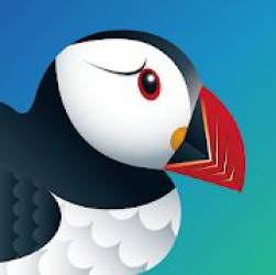 Puffin Pro Apk V9.4.1.51004 Download For Android