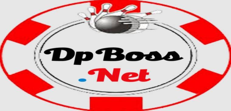 DP Boss Net Apk