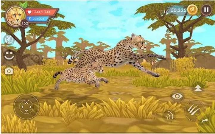 Wildcraft Apk