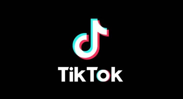 TikTok No Watermark Apk