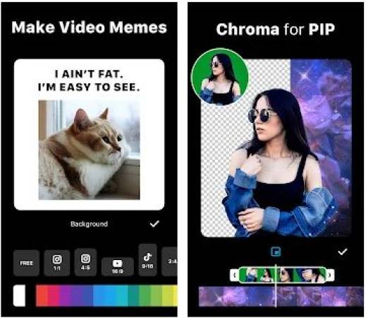 InShot Apk Mod
