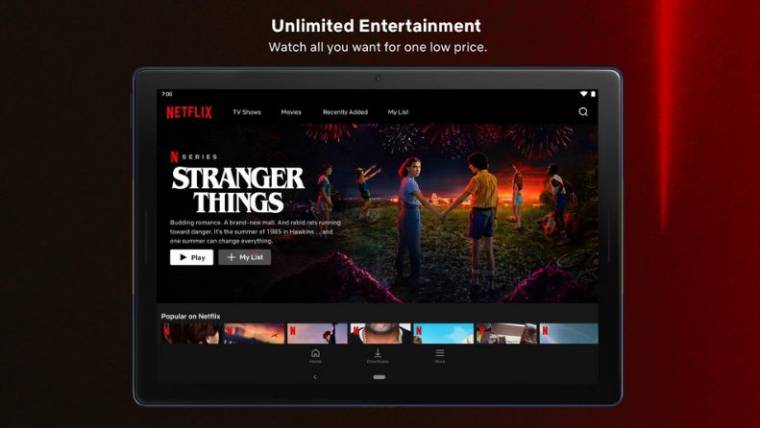 Netflix Mod Apk