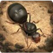 The Ants Underground Kingdom Mod Apk V3.8.0  Money Unlimited