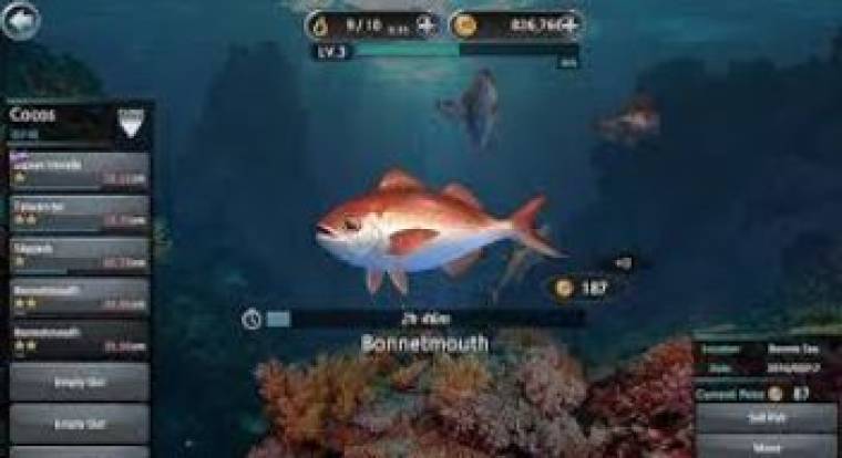 Fishing Hook Mod Apk