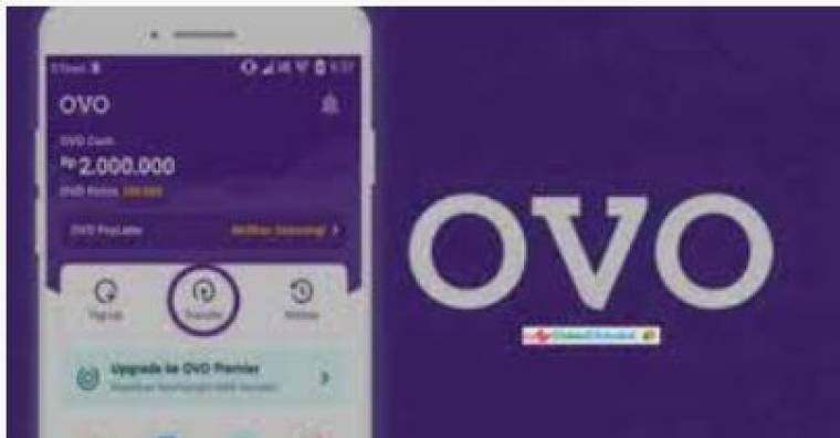 Ovo Premium Apk