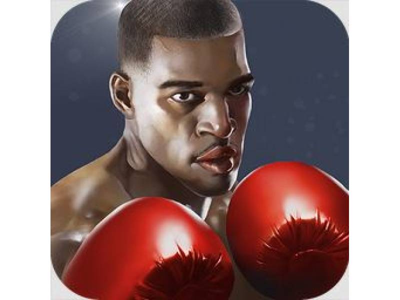 Punch Boxing Premium Apk v1.1.6 (Unlimited Money and Gold)