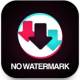 SnapTik Apk Download