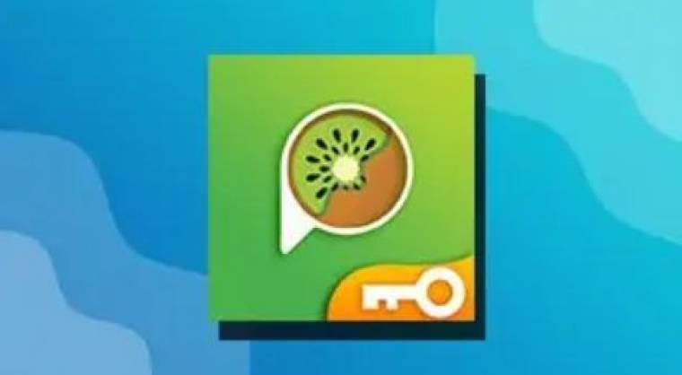 Kiwi VPN Apk