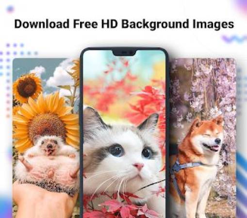 NoxLucky Wallpaper APK