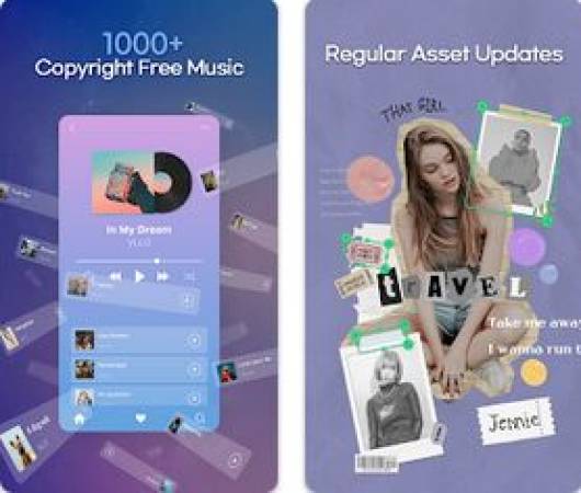 VLLO Premium Apk