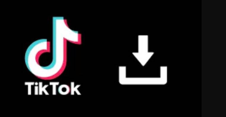 Tiktok Sin Marca De Agua APK