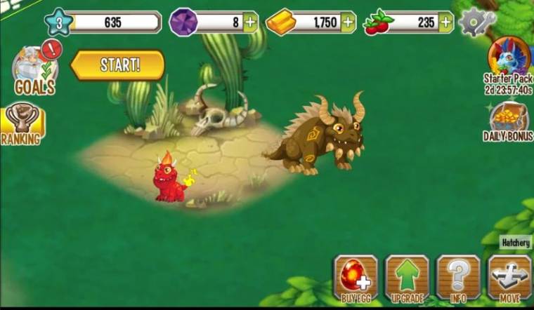 Dragon City APK